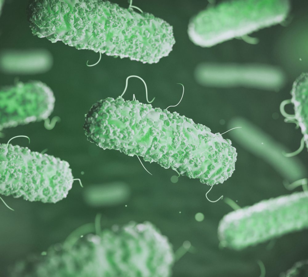 Enterobacterias. Gram-negative bacterias escherichia coli, salmonella, klebsiella, legionella, mycobacterium tuberculosis, yersinia pestis,  and shigella, proteus, enterobacter, serratia, and citrobacter. 3d illustration